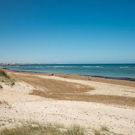Violeta Torrevieja